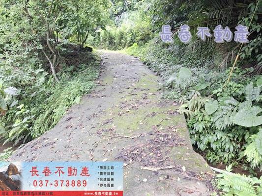 苗栗公館農地_山坡地_休閒地-10