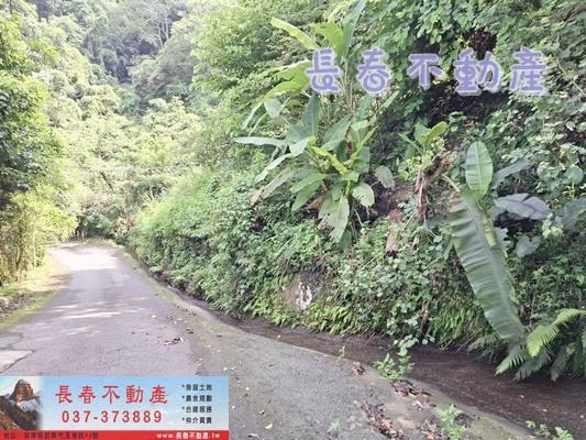 苗栗公館農地_山坡地_休閒地-6