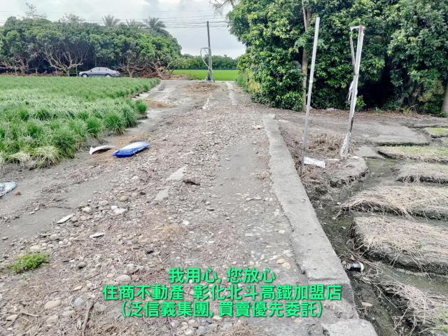 溪州農地-4