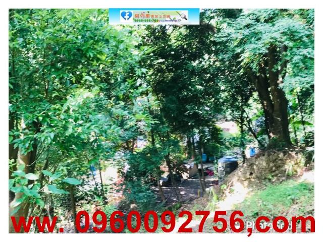 新竹農地_山坡地_休閒地-6