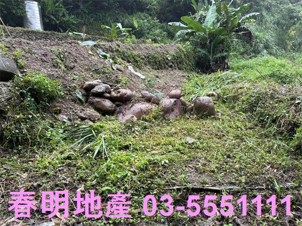 新竹芎林農地-3