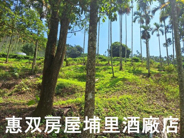 南投農地-3