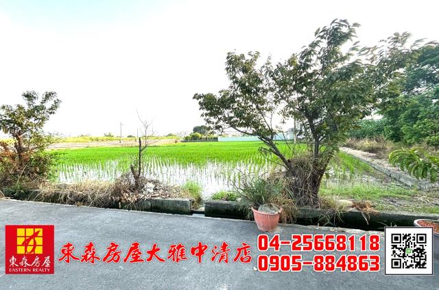 台中大雅農地_建地-4