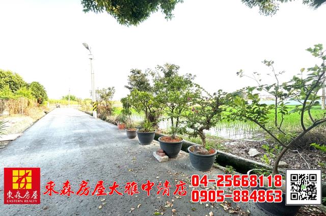 台中大雅農地_建地-6