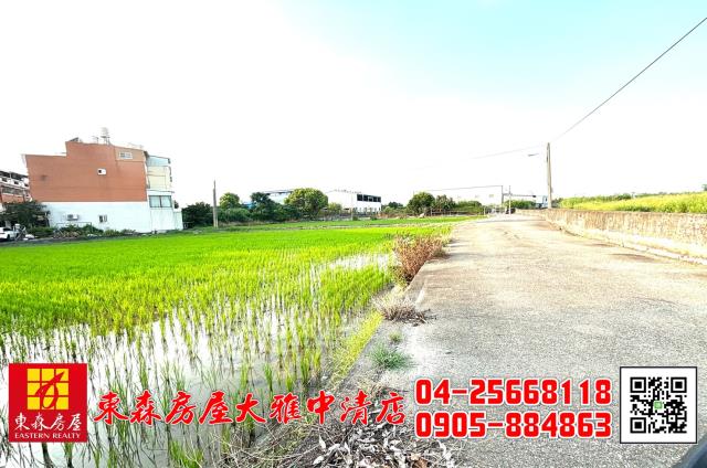 台中大雅農地_建地-9