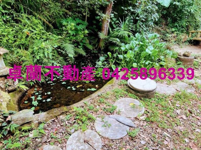 苗栗大湖農地-11
