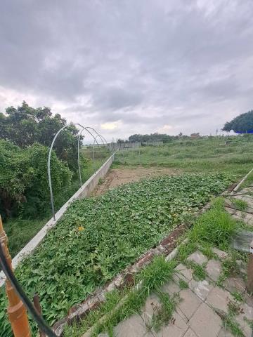 嘉義農地-6