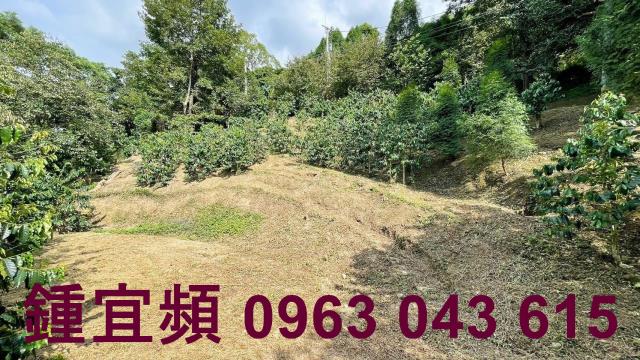 新竹橫山山坡地_休閒地_林地-11