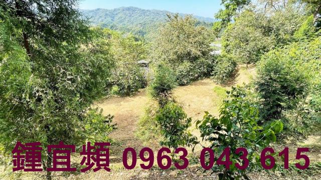 新竹橫山山坡地_休閒地_林地-4