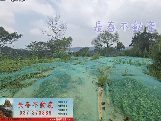苗栗頭份農地_山坡地_休閒地-3
