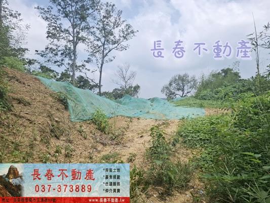 苗栗頭份農地_山坡地_休閒地-4