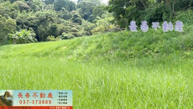 苗栗三灣農地_山坡地_休閒地-1