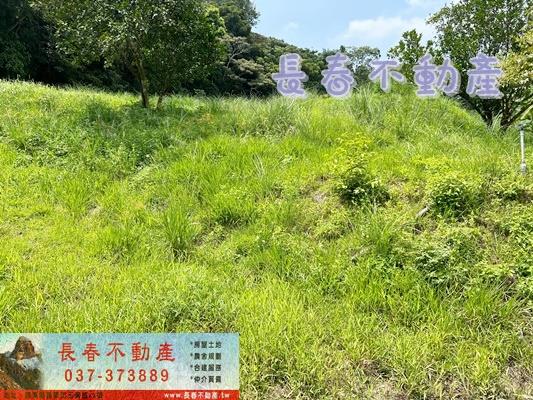 苗栗三灣農地_山坡地_休閒地-2