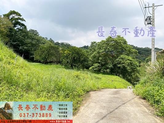 苗栗三灣農地_山坡地_休閒地-4