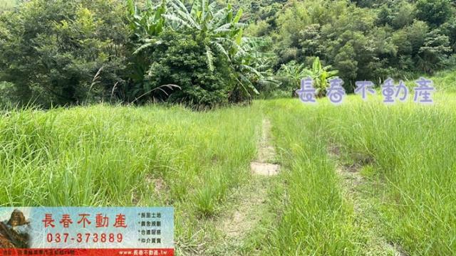 苗栗三灣農地_山坡地_休閒地-5