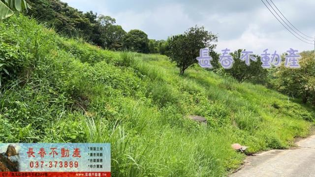 苗栗三灣農地_山坡地_休閒地-6