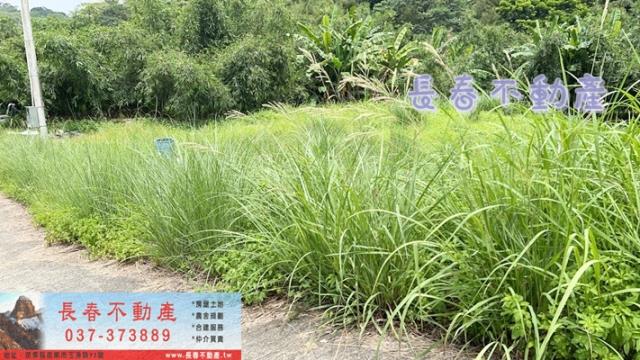 苗栗三灣農地_山坡地_休閒地-7