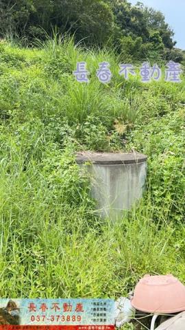 苗栗三灣農地_山坡地_休閒地-9