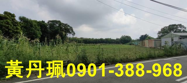 桃園八德農地-3