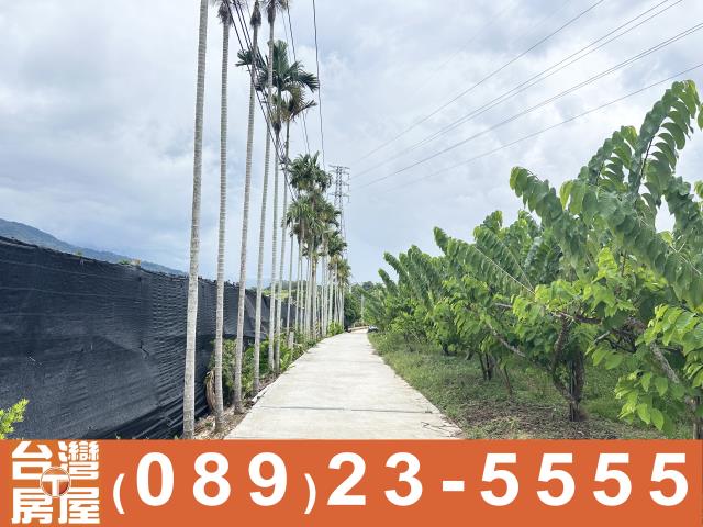 台東卑南農地-2