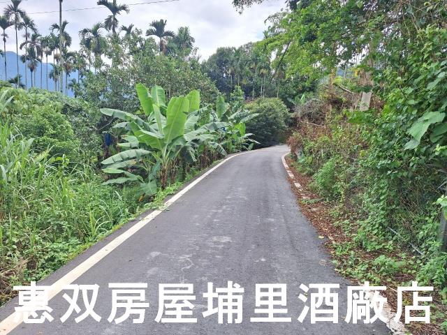 埔里農地_休閒地-1