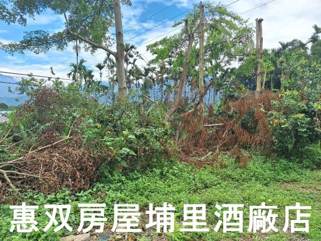 埔里農地_休閒地-7