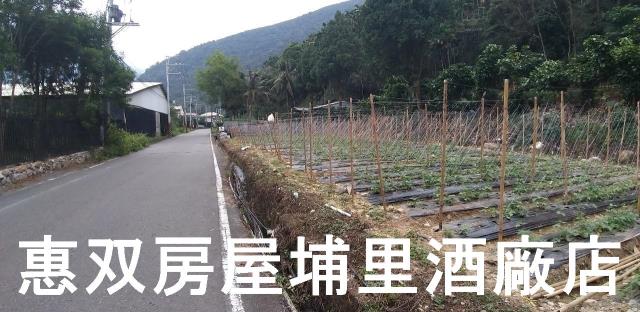 南投農地_休閒地-5