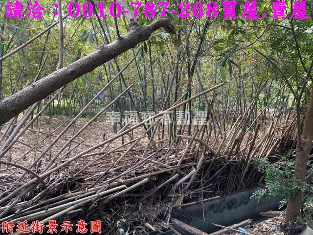台南新化農地_建地-12