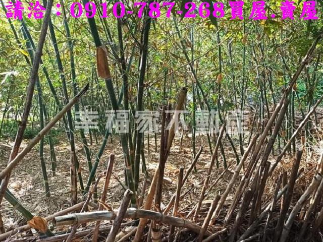 台南新化農地_建地-6