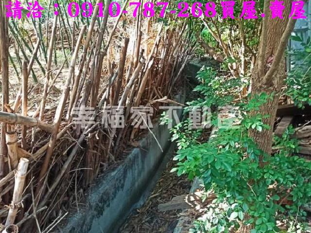 台南新化農地_建地-7