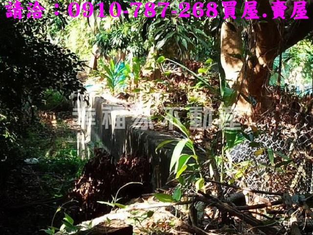 台南新化農地_建地-9