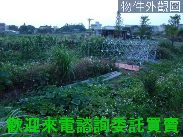 新北農地-3