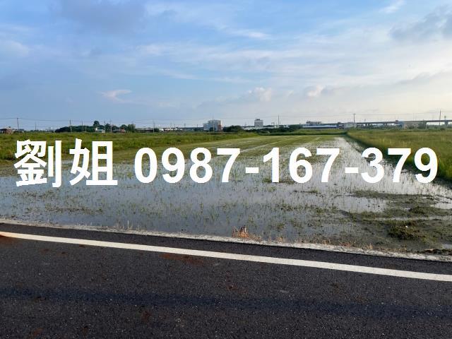 台南下營農地_休閒地-1