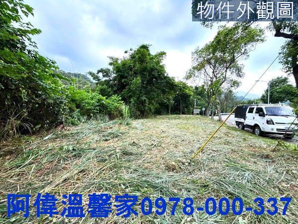 新竹橫山山坡地_休閒地_林地-1