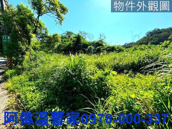 新竹橫山山坡地_休閒地_林地-3