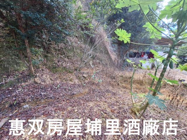 埔里建地-0