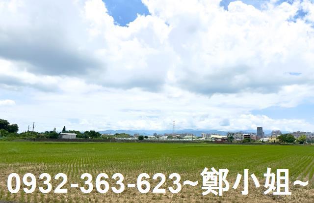 桃園農地-4