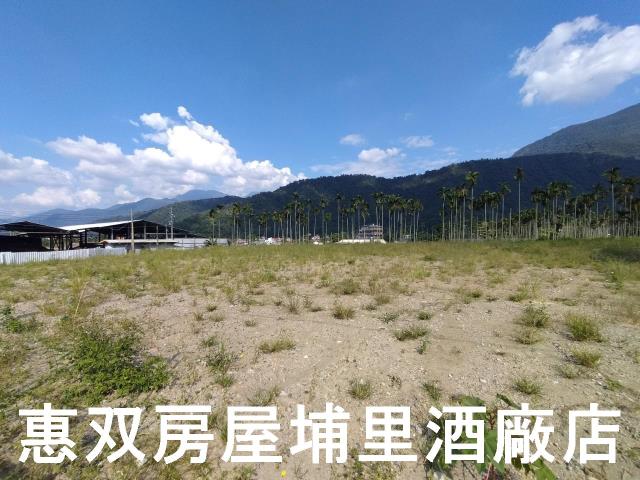 埔里農地-4