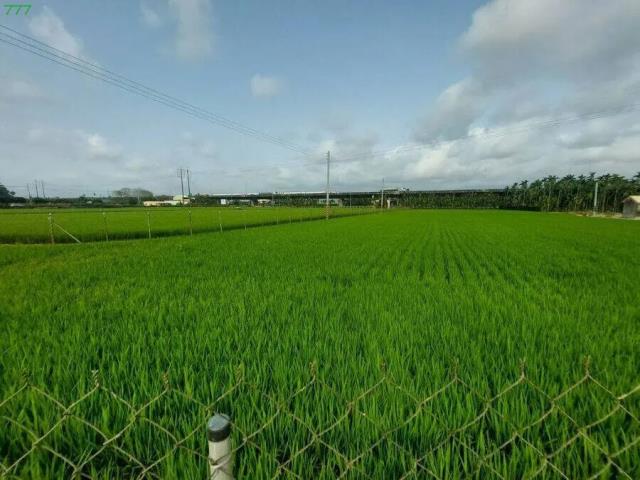 屏東農地-2