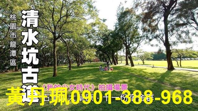 桃園龍潭農地_休閒地-1