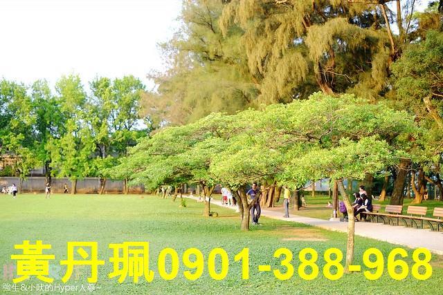 桃園龍潭農地_休閒地-2