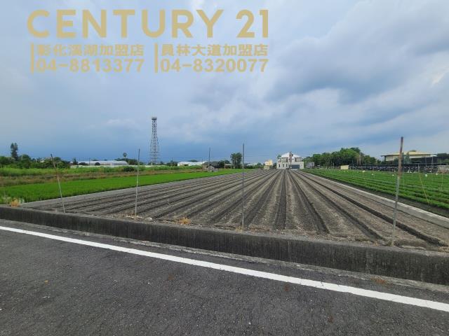 田尾農地-7
