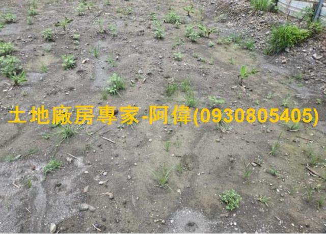 高雄大寮農地-1