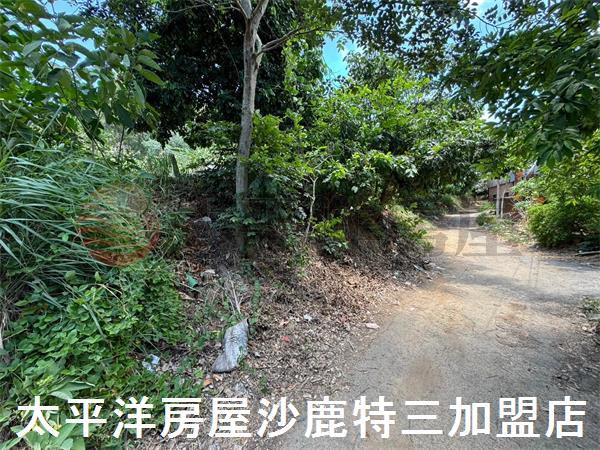龍井農地_保護地-4