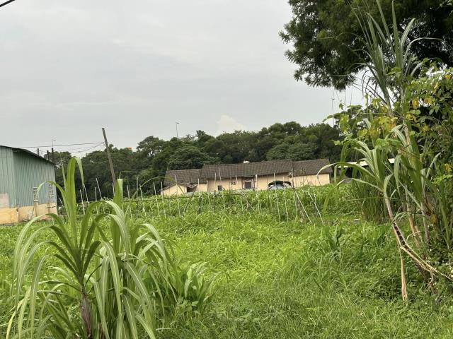 神岡農地_建地-7