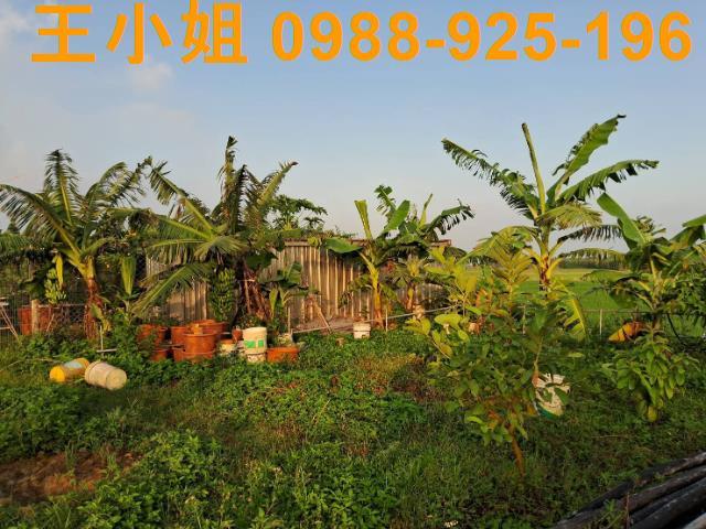 桃園農地-4