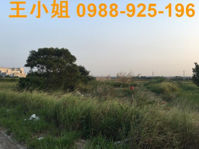 桃園農地_建地-4