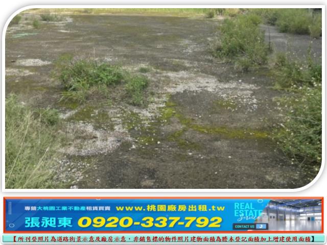 桃園建地_工業地-2