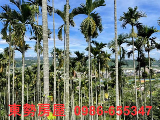 東勢農地-4