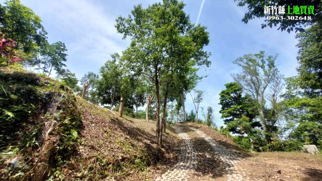 新竹北埔農地_山坡地-15